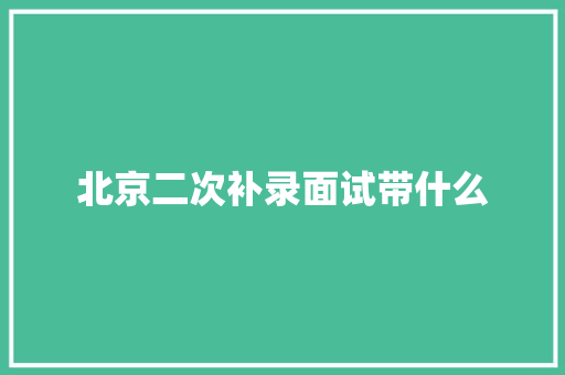 北京二次补录面试带什么