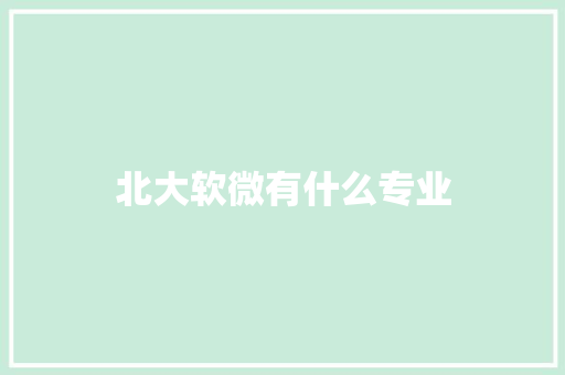 北大软微有什么专业
