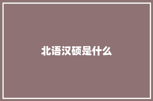 北语汉硕是什么