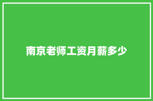 南京老师工资月薪多少