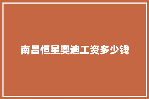 南昌恒星奥迪工资多少钱