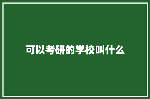 可以考研的学校叫什么