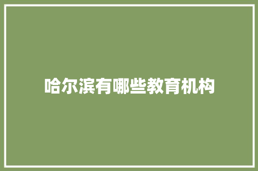 哈尔滨有哪些教育机构