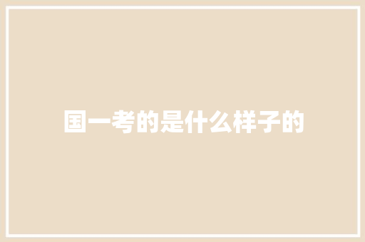 国一考的是什么样子的