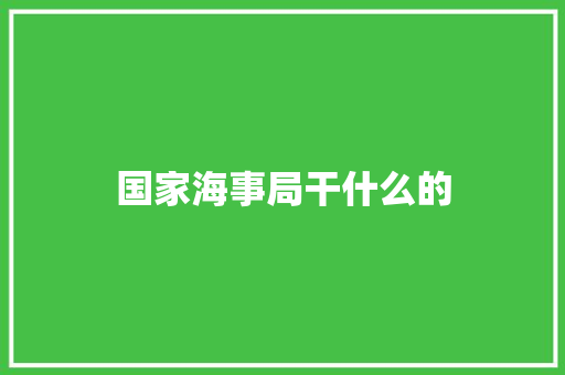 国家海事局干什么的