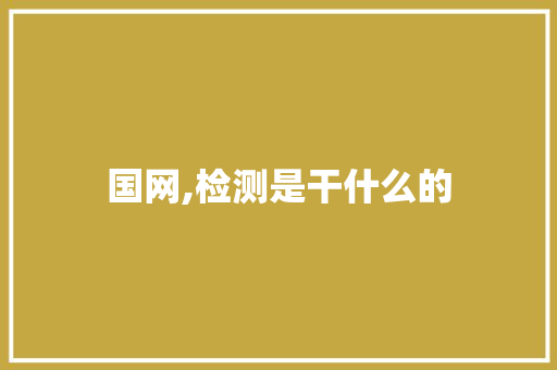 国网,检测是干什么的
