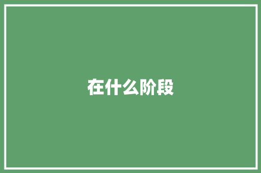 在什么阶段