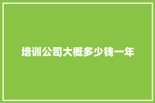 培训公司大概多少钱一年