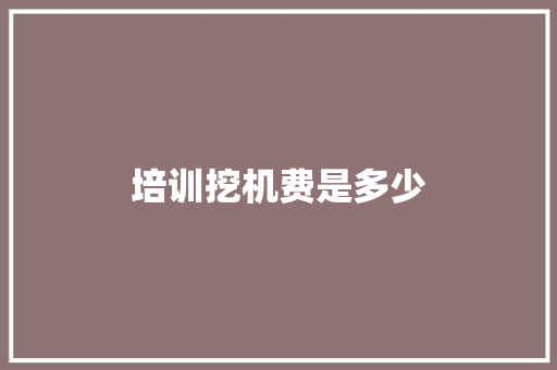 培训挖机费是多少