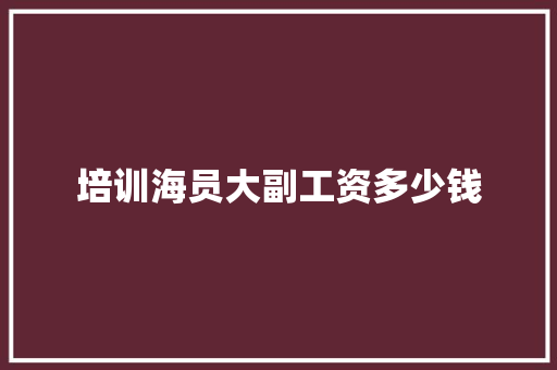 培训海员大副工资多少钱