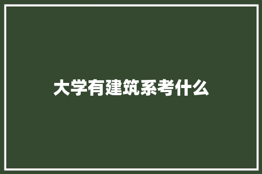 大学有建筑系考什么