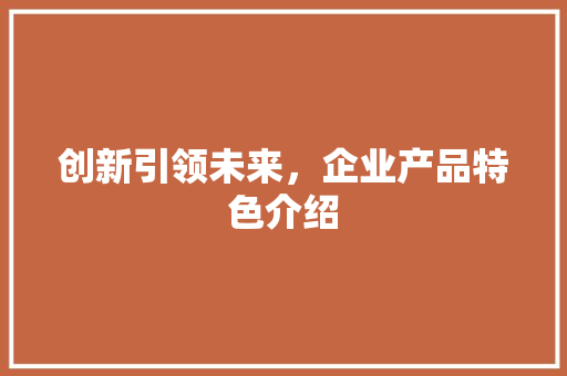 创新引领未来，企业产品特色介绍