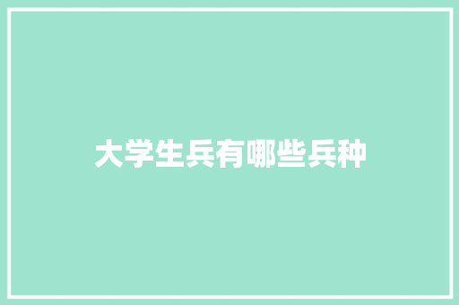 大学生兵有哪些兵种