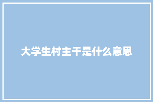 大学生村主干是什么意思