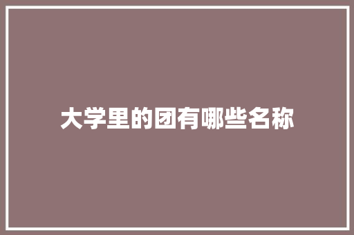 大学里的团有哪些名称