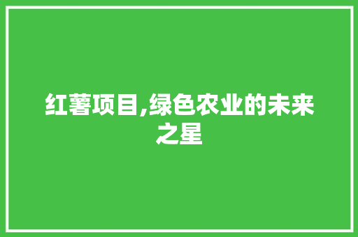 红薯项目,绿色农业的未来之星
