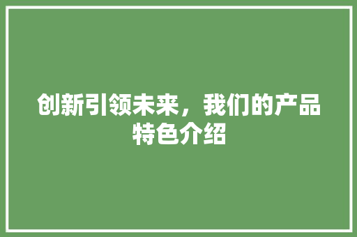 创新引领未来，我们的产品特色介绍