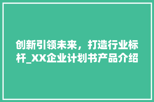 创新引领未来，打造行业标杆_XX企业计划书产品介绍