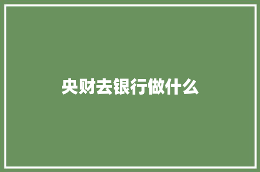 央财去银行做什么