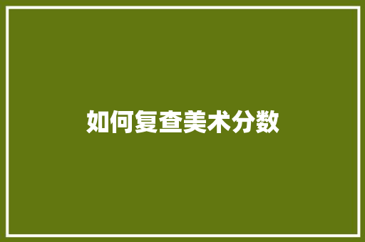 如何复查美术分数