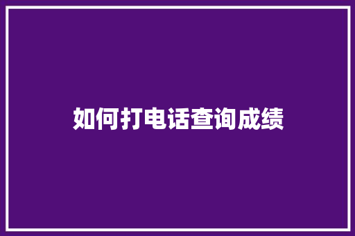 如何打电话查询成绩