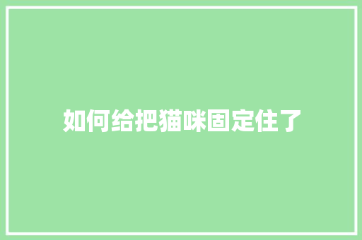 如何给把猫咪固定住了