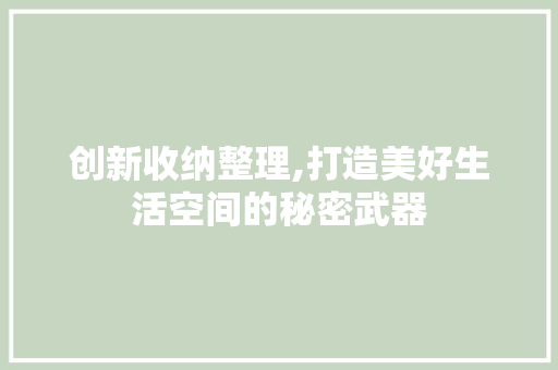 创新收纳整理,打造美好生活空间的秘密武器