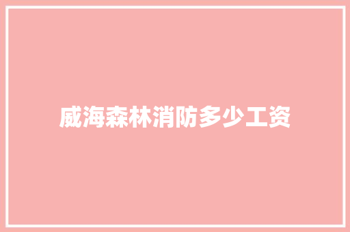 威海森林消防多少工资