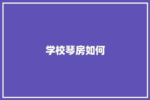 学校琴房如何