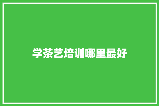 学茶艺培训哪里最好