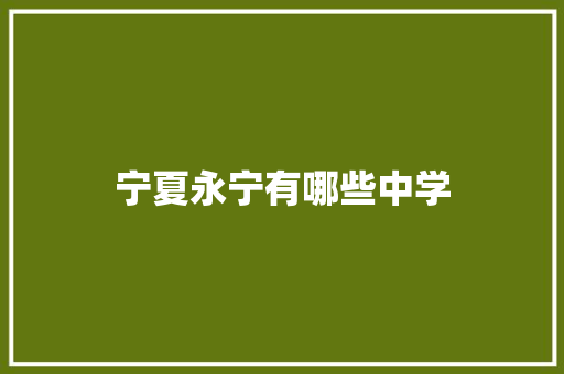 宁夏永宁有哪些中学