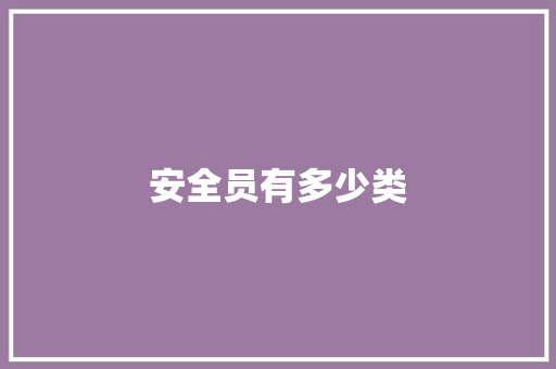 安全员有多少类