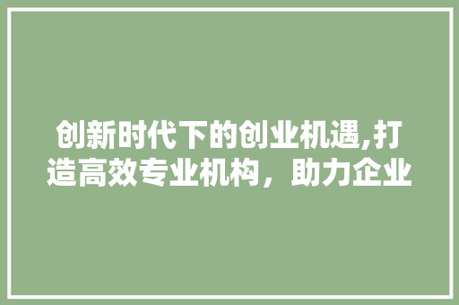 创新时代下的创业机遇,打造高效专业机构，助力企业腾飞