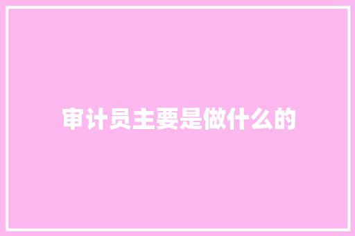审计员主要是做什么的