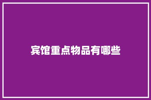宾馆重点物品有哪些