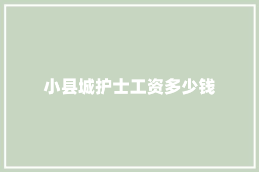小县城护士工资多少钱