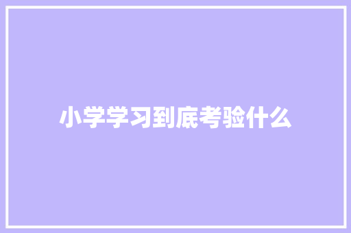 小学学习到底考验什么