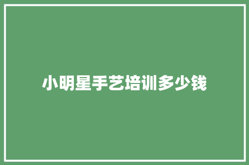 小明星手艺培训多少钱