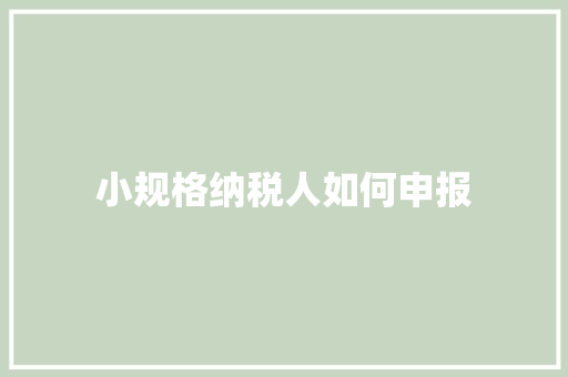 小规格纳税人如何申报