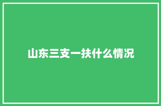 山东三支一扶什么情况