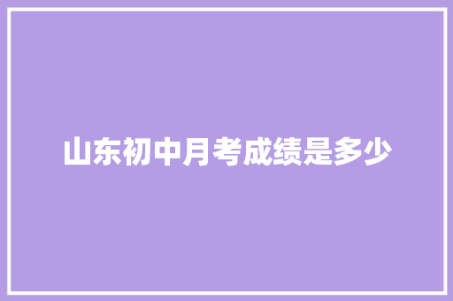 山东初中月考成绩是多少