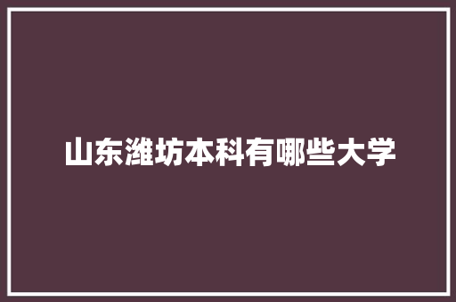 山东潍坊本科有哪些大学