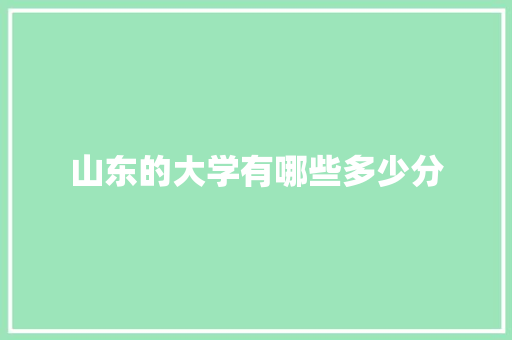 山东的大学有哪些多少分
