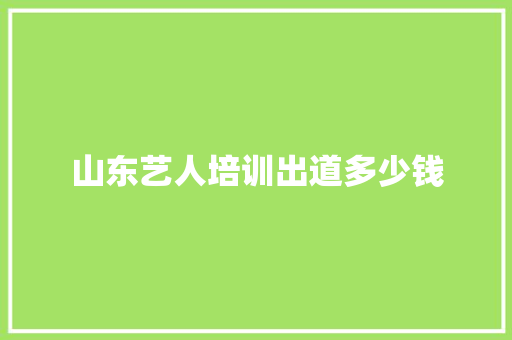 山东艺人培训出道多少钱