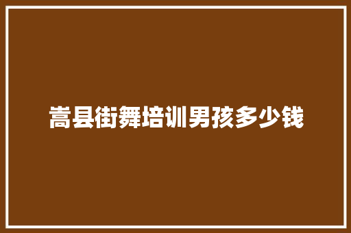 嵩县街舞培训男孩多少钱