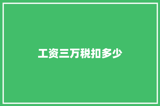 工资三万税扣多少