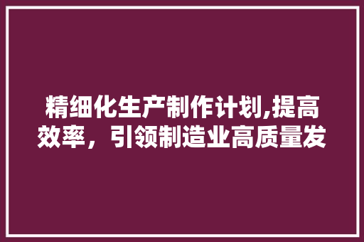 精细化生产制作计划,提高效率，引领制造业高质量发展