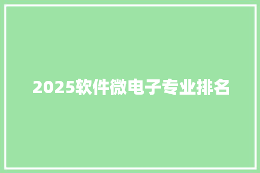 2025软件微电子专业排名