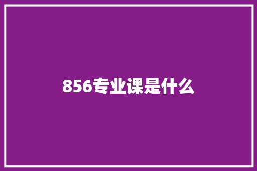 856专业课是什么
