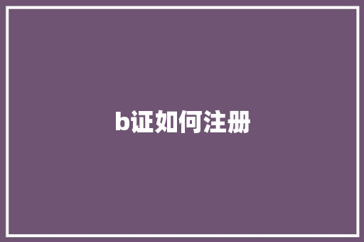 b证如何注册 优秀范文